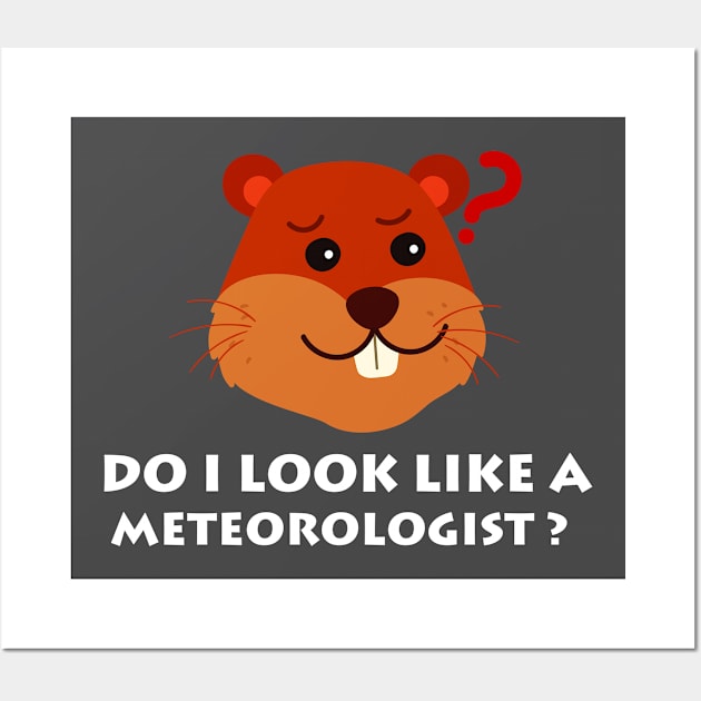 Do I Look Like A Meteorologist? Groundhog Day Funny Wall Art by amitsurti